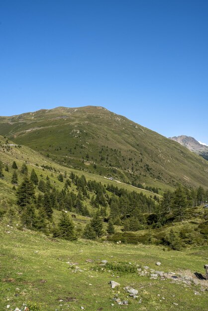 Scenic view of landscape against clear blue sky