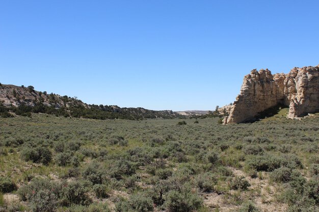 Scenic view of landscape against clear blue sky