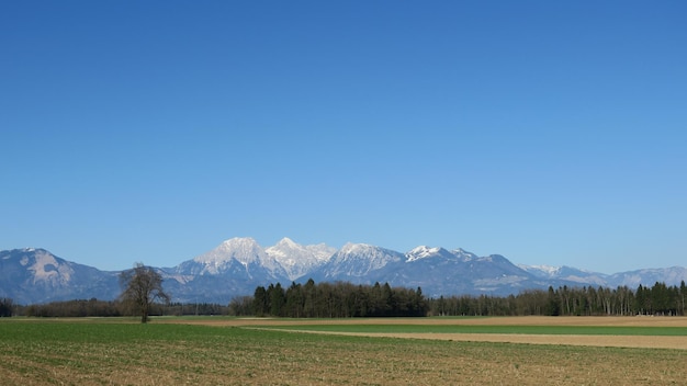 Scenic view of landscape against clear blue sky