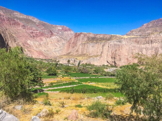 Scenic view of landscape against clear blue sky