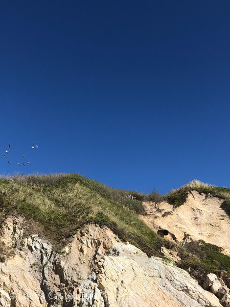 Scenic view of landscape against clear blue sky