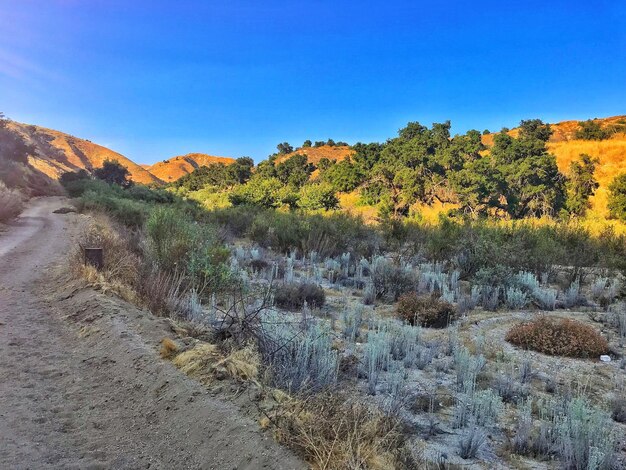 Scenic view of landscape against clear blue sky