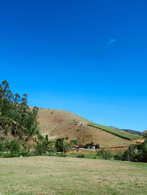 Scenic view of landscape against clear blue sky