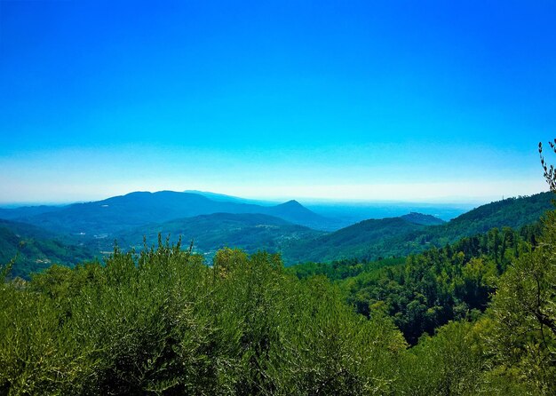 Scenic view of landscape against clear blue sky