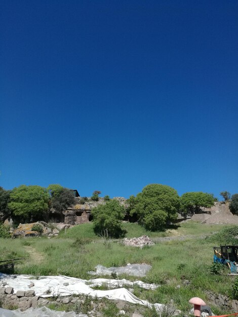 Scenic view of landscape against clear blue sky