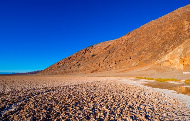 Scenic view of landscape against clear blue sky