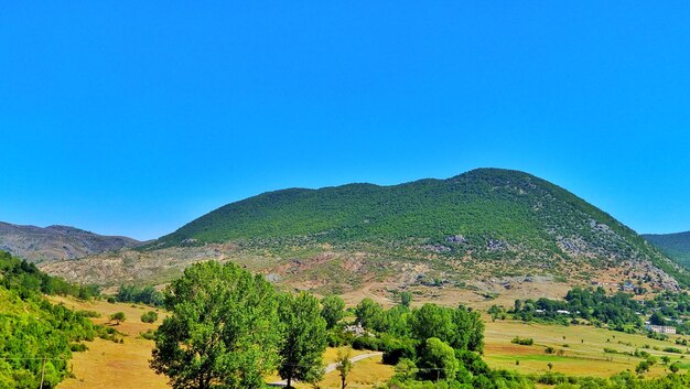 Scenic view of landscape against clear blue sky