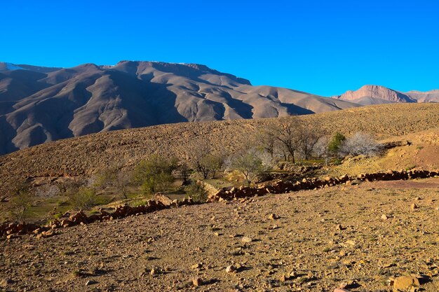 Scenic view of landscape against clear blue sky