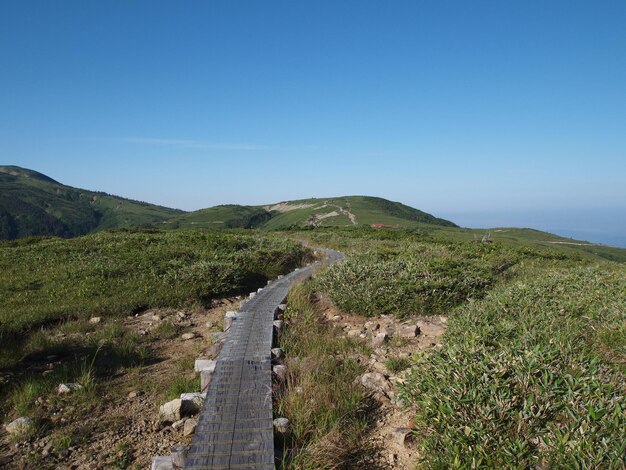 Scenic view of landscape against clear blue sky