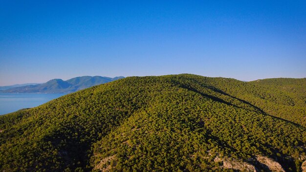 Scenic view of landscape against clear blue sky