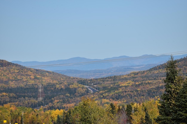 Scenic view of landscape against clear sky during autumn
