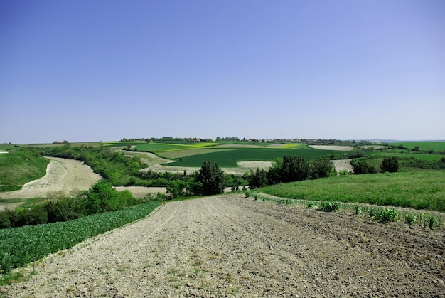 scenic view of landscape against clear sky