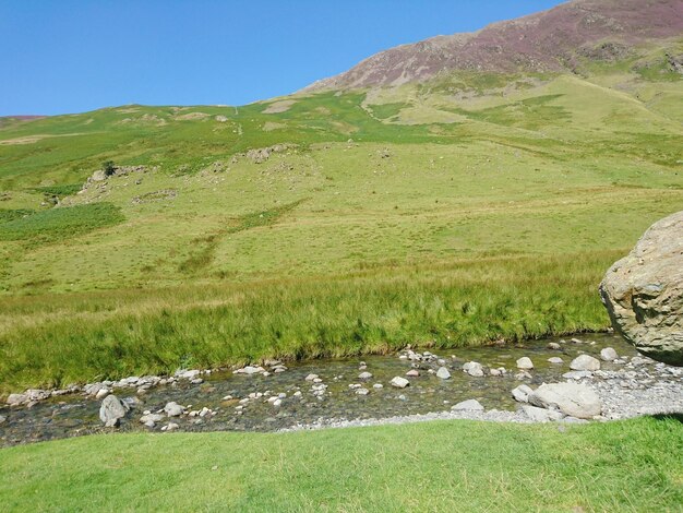 Scenic view of landscape against clear sky