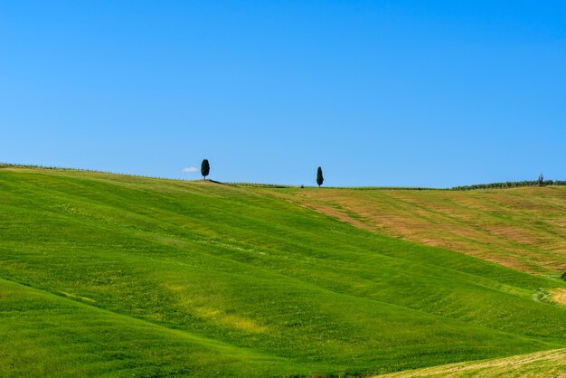 Foto vista panoramica del paesaggio contro un cielo limpido