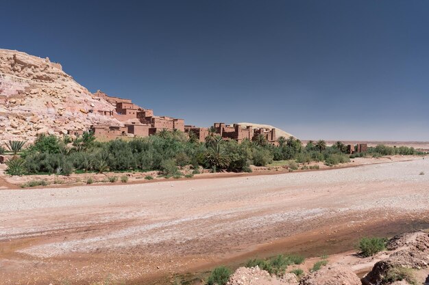 Scenic view of landscape against clear sky