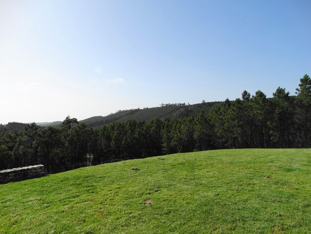 Scenic view of landscape against clear sky