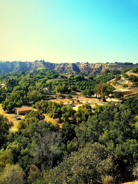 Scenic view of landscape against clear sky