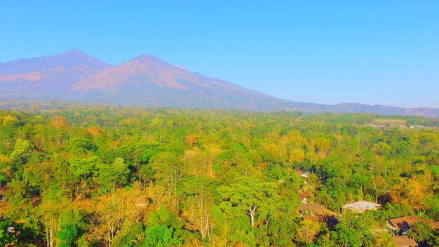 Scenic view of landscape against clear sky