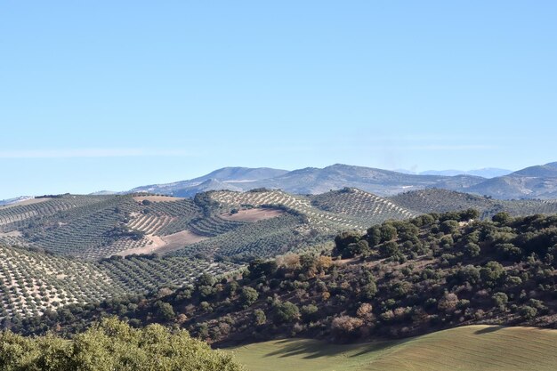 Foto vista panoramica del paesaggio contro un cielo limpido