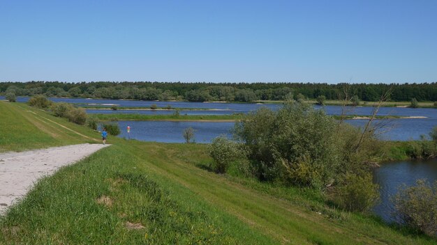 Scenic view of landscape against clear sky