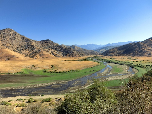 Scenic view of landscape against clear sky