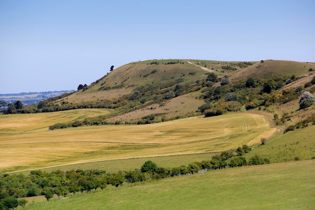 Foto vista panoramica del paesaggio contro un cielo limpido