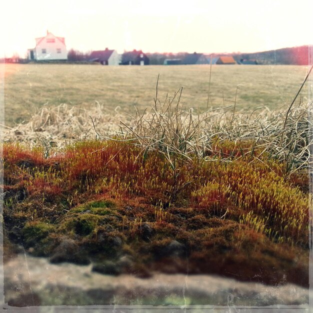 Photo scenic view of landscape against clear sky