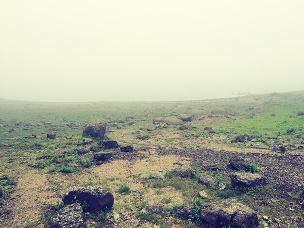 Scenic view of landscape against clear sky