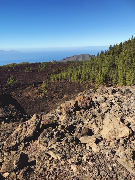 Scenic view of landscape against clear sky