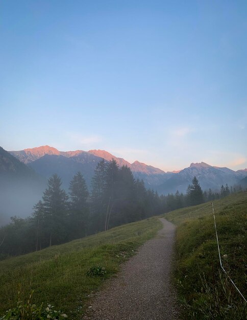 Scenic view of landscape against clear sky