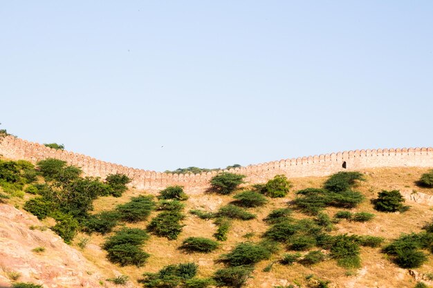 Scenic view of landscape against clear sky