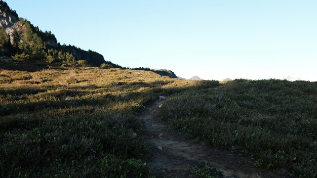 Scenic view of landscape against clear sky