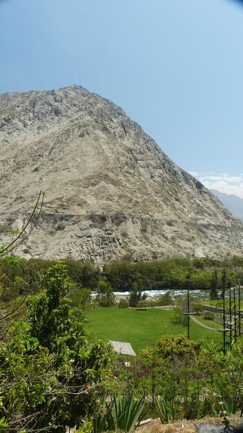 Scenic view of landscape against clear sky