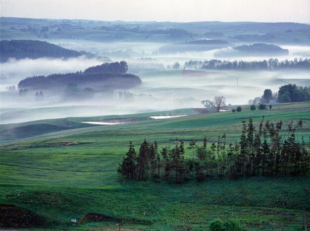 Scenic view of landscape against cloudy sky during foggy weather