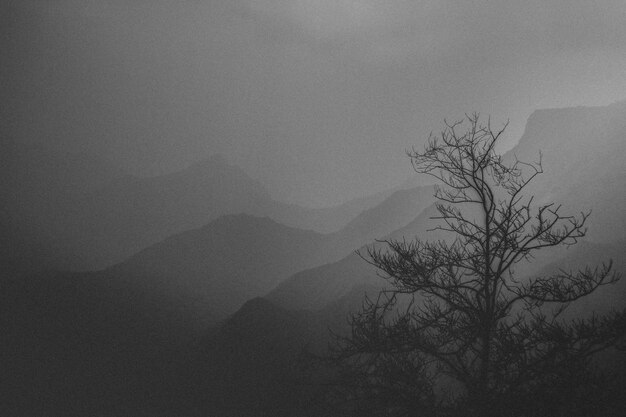 Photo scenic view of landscape against cloudy sky