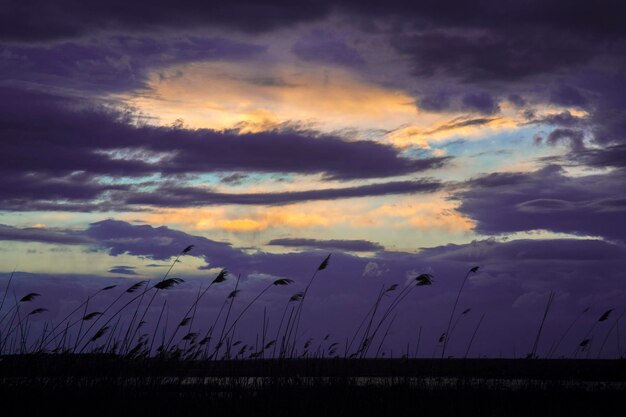 Scenic view of landscape against cloudy sky