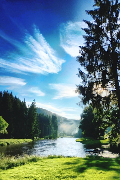 Scenic view of landscape against cloudy sky