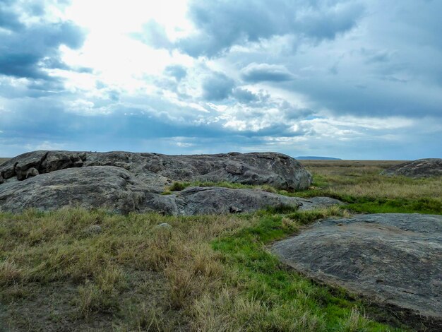 Scenic view of landscape against cloudy sky