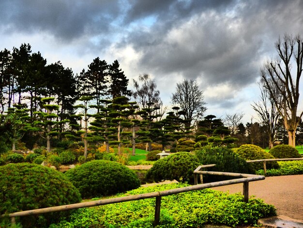 Scenic view of landscape against cloudy sky