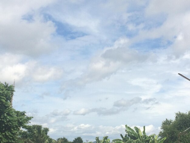 Scenic view of landscape against cloudy sky