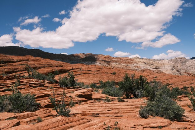 Photo scenic view of landscape against cloudy sky