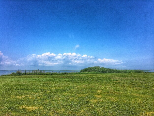 Scenic view of landscape against cloudy sky