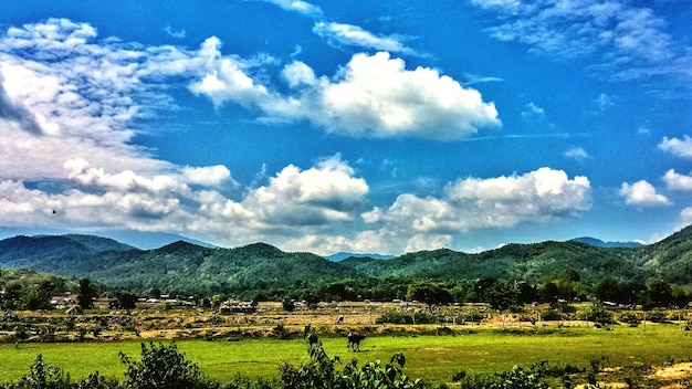 Scenic view of landscape against cloudy sky