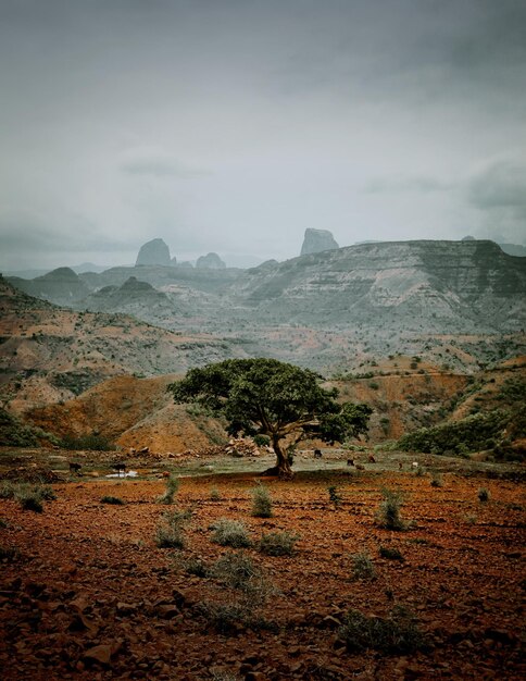 Photo scenic view of landscape against mountains and sky