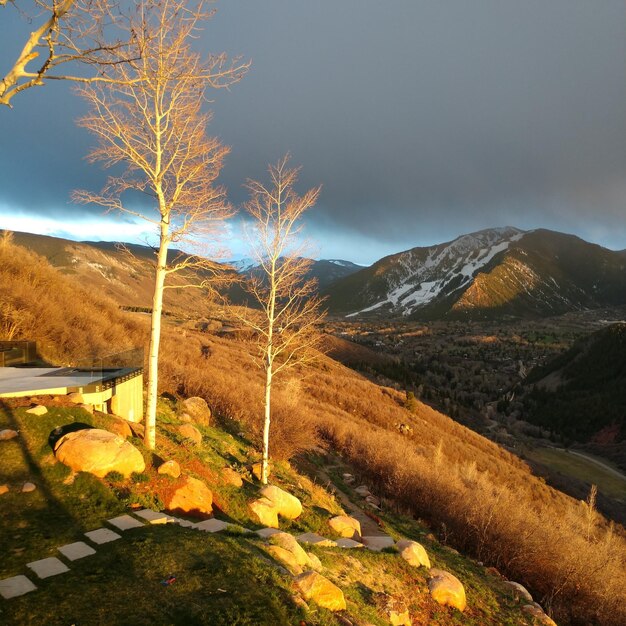 Scenic view of landscape against sky during autumn