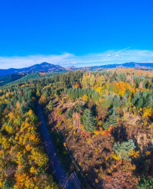 Scenic view of landscape against sky during autumn