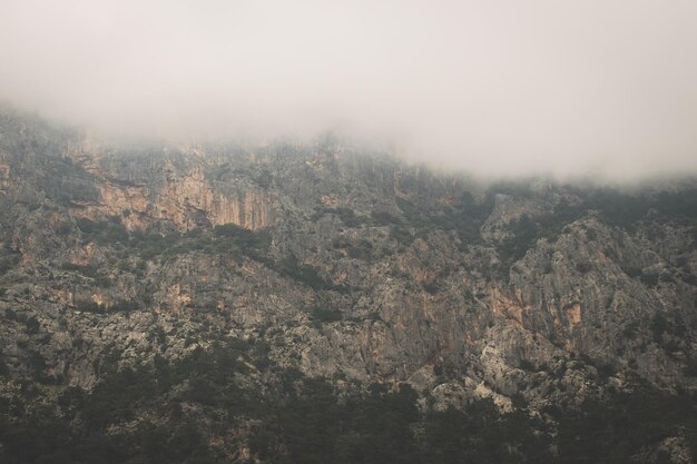 Photo scenic view of landscape against sky during foggy weather