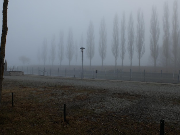 Scenic view of landscape against sky during foggy weather