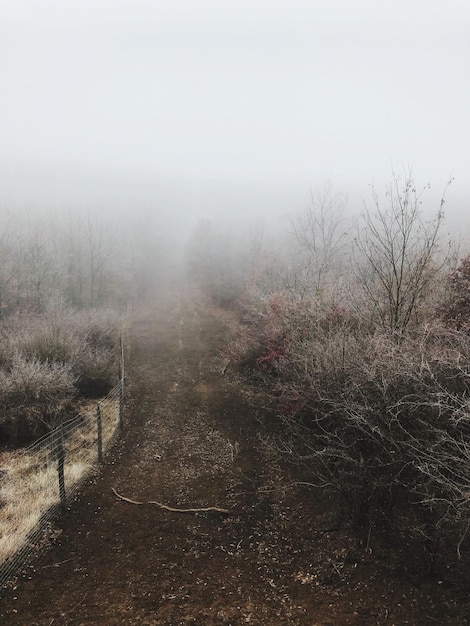 Photo scenic view of landscape against sky during foggy weather