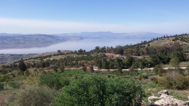 Scenic view of landscape against sky during sunny day